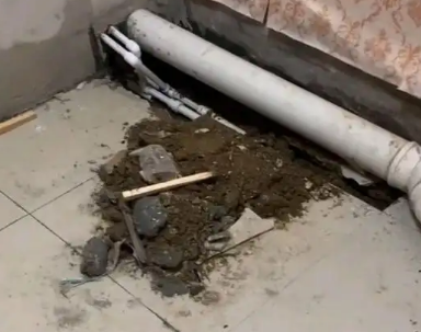 大观卫生间漏水检测哪家好