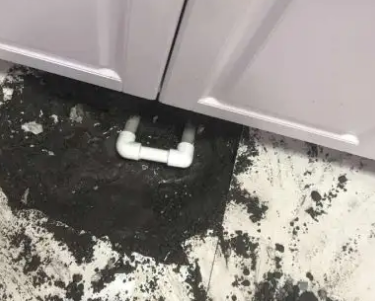 大观查漏水哪家好